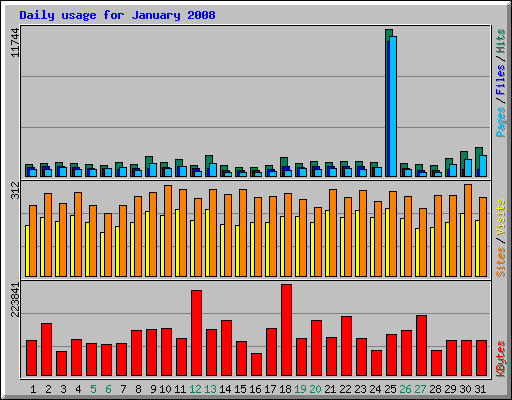 Daily usage for January 2008