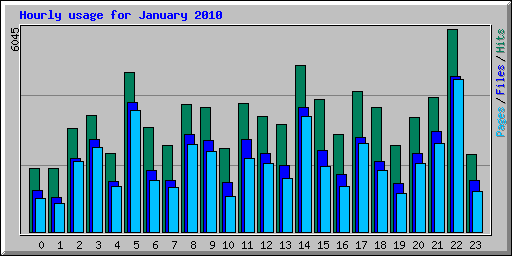 Hourly usage for January 2010