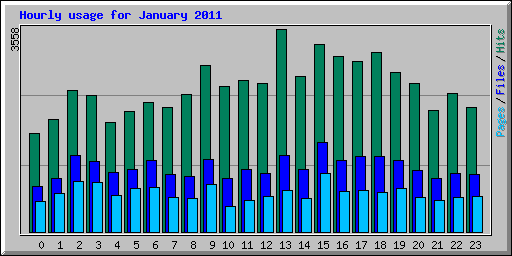 Hourly usage for January 2011